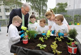 Herr Bartsch (ehemaliger Bezirkstagspräsident) pflanzt mit vier Kindern und einer Mitarbeiterin der BayWa Stiftung Salat in ein Hochbeet ein.